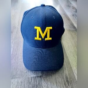 Michigan wolverines fitted Jordan hat